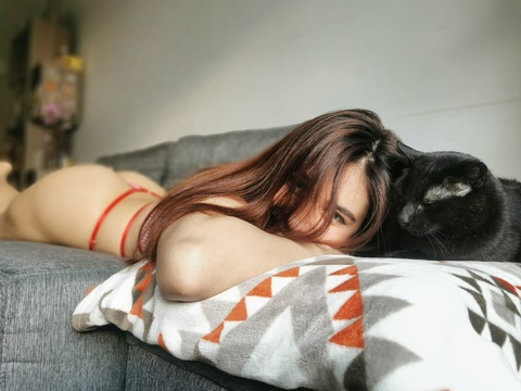 Cat @jungleofpandas cover picture