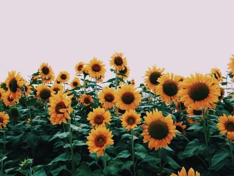 Karah @karahmaree cover picture