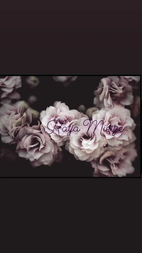 Katjamietze @katjamietze cover picture