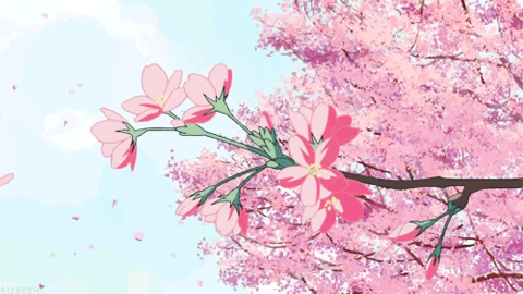 Kat @katthekunt cover picture