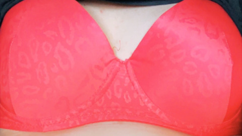 Kisses _Nicole @kisses_nicole cover picture