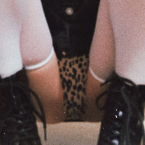 𝔭𝔯𝔢𝔱𝔱𝔶 𝔭𝔞𝔴𝔰 @kittybellaspaws cover picture