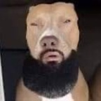 Kiwwis @kiwwis Leaked OnlyFans 

 profile picture