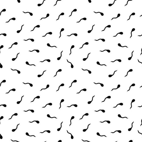 KumyKevy @kumykevy cover picture