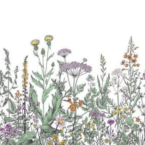 Lana @l4n4love cover picture