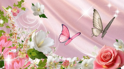 LaChina @lachina_bunny cover picture