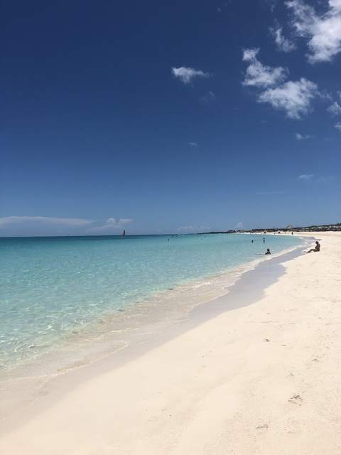 Catalina @laluysuentropiaa cover picture