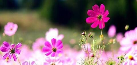 Lauren @lauren2020 cover picture