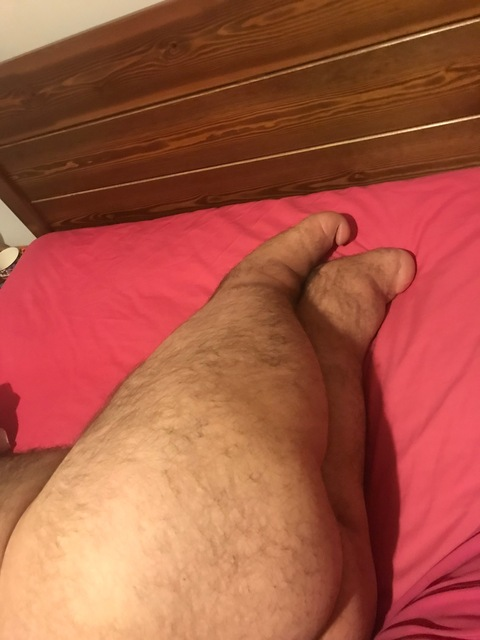 LeglessBearFree @leglessbearfree cover picture