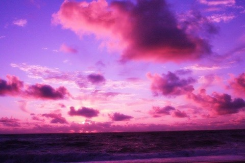 Lei from id0lls / Luna D.Light FREE @lei_id0lls cover picture