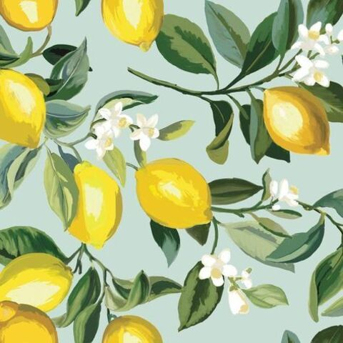 Lemonslover @lemonslove cover picture