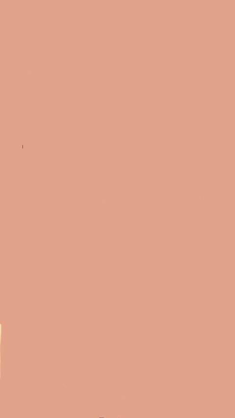 LessTamera🌺✨ @lesstamera cover picture