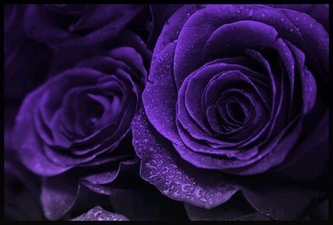 letsmakelove @letsmakelove cover picture