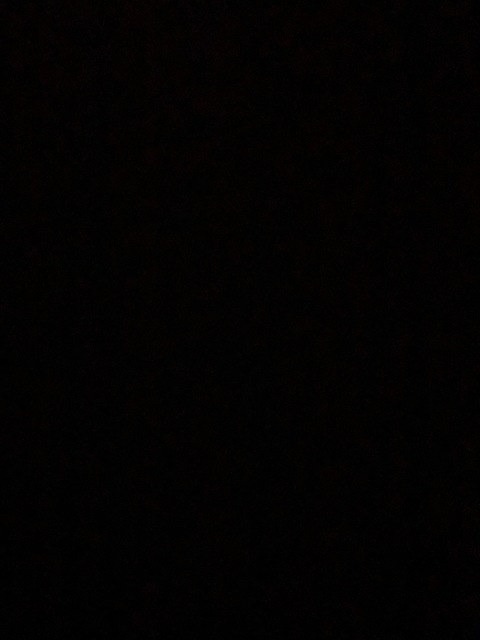LF @lf.19 cover picture
