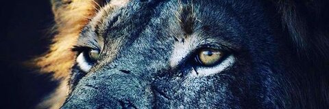Legendaryycharm @lifeasaleoo cover picture