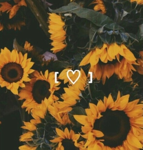 Dylan @lildylbunny cover picture