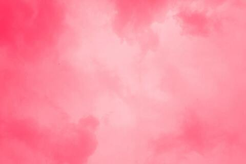 moniqueBrown @lilmoniquebrown cover picture
