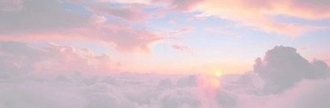 Fairy T 🧚‍♂️ @lilspicy2121 cover picture