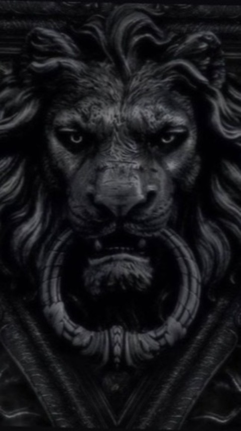 Lionel77 @lionel77 cover picture