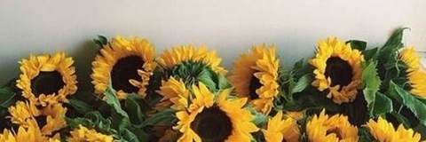 Stephanie @lipstickqueen cover picture