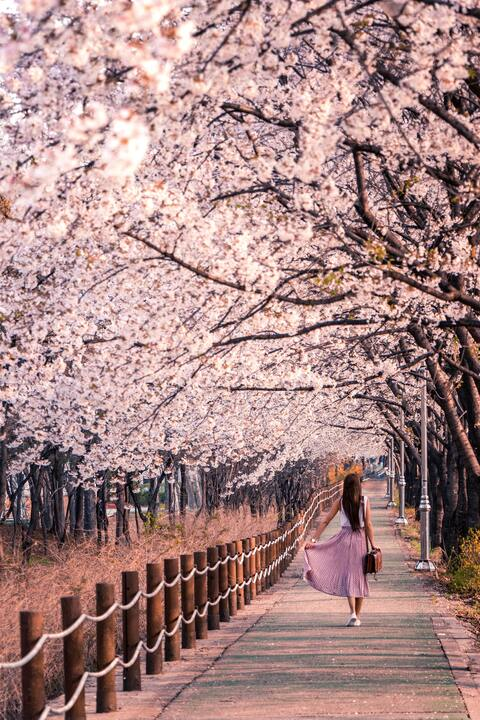 kimilee22 @lisamaus cover picture