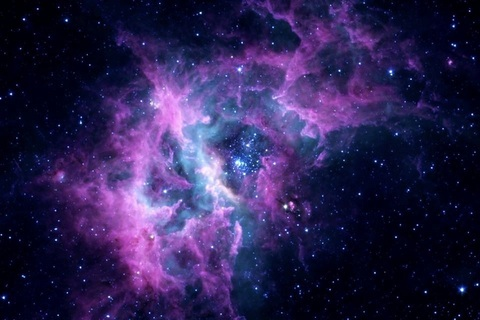 n.k.i @little.alien.nki cover picture