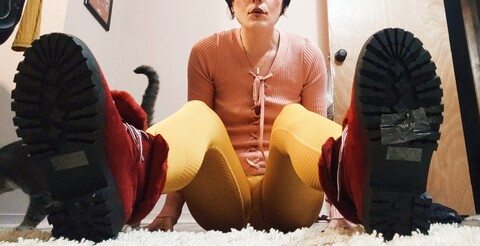 Little Bits @littlebitswahoo cover picture