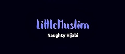 Laila's LittleMuslim @littlemuslim cover picture