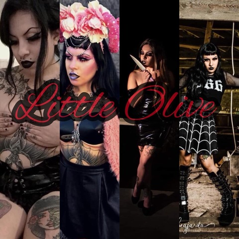 🦇Little Olive🦇 @littleolive16 cover picture
