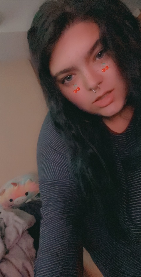 littlestkitten @littlestcuddlykitten cover picture