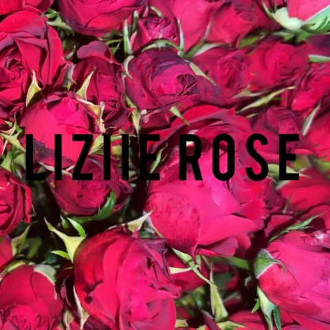 Liziie Rose 🌹 @liziierosex cover picture
