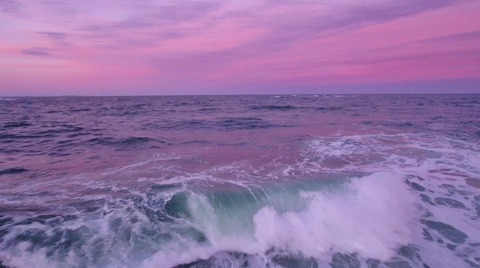 linessa @llinessa cover picture