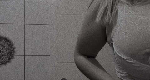 lola🍒 @lolaxa cover picture