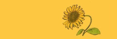 Sunflower @lonelysunflower cover picture