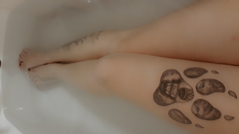 Lola @lookits_lola cover picture
