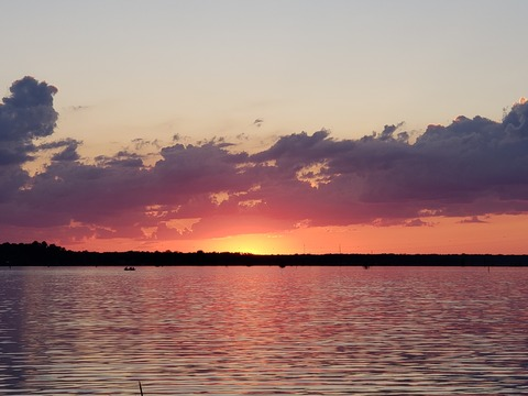 Louisianatroublemkr @louisianatroublemkr cover picture