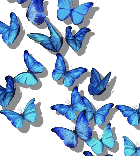 LM @loumik cover picture
