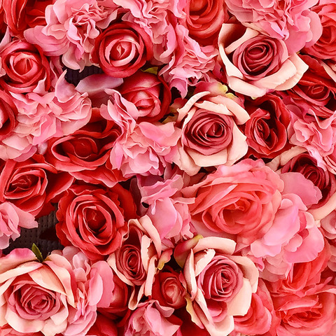 Carmen @lovecarmen cover picture