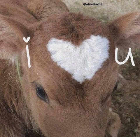 bri @lovelyxbri cover picture