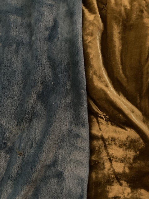 LucyJ @lucyjest cover picture