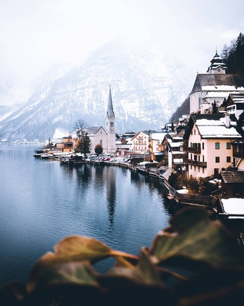Header of luluhart