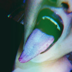 lupitahellqueeen (Tonguequeen) OnlyFans Leaked Pictures and Videos 

 profile picture