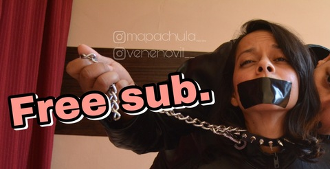 Mapachita__ @m_apachita cover picture