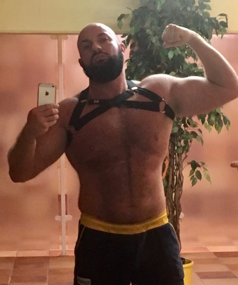 Macho Bull @machobull cover picture