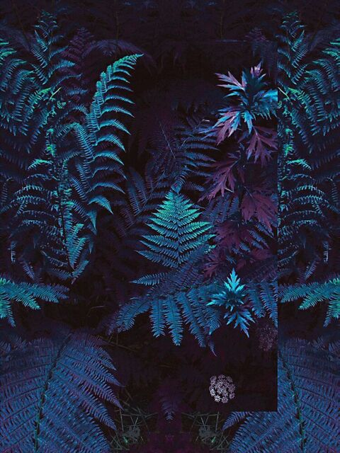 Madelin Indica @madelinxindica cover picture