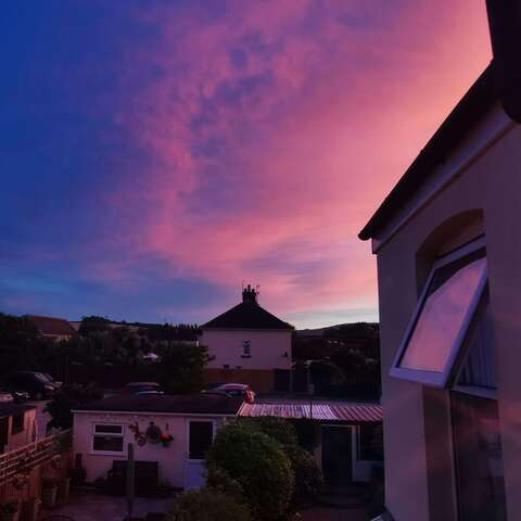 🍒 @mandrx cover picture