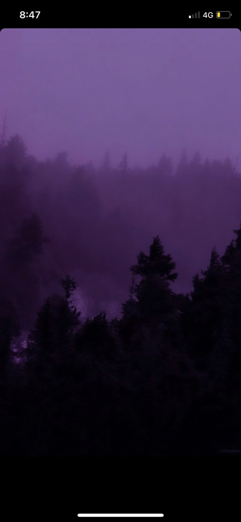 Dixie Dryad @manicpawgpixie cover picture