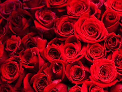 Marilyn La Rose @marilyn_la_rose cover picture