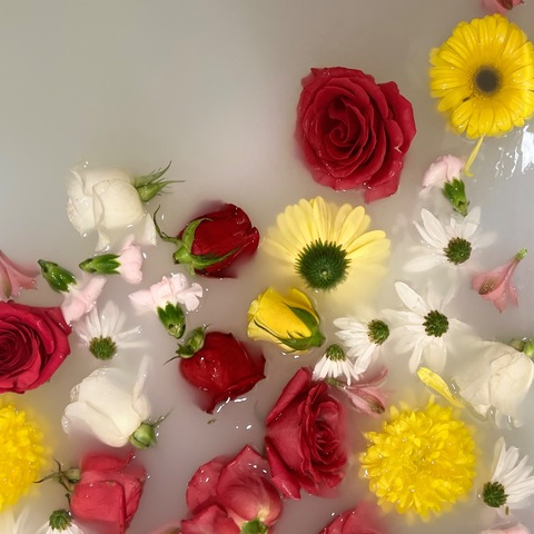 Mayydayyxx @mayydayyxx cover picture