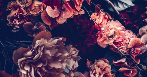 Melania @melaniasweet cover picture